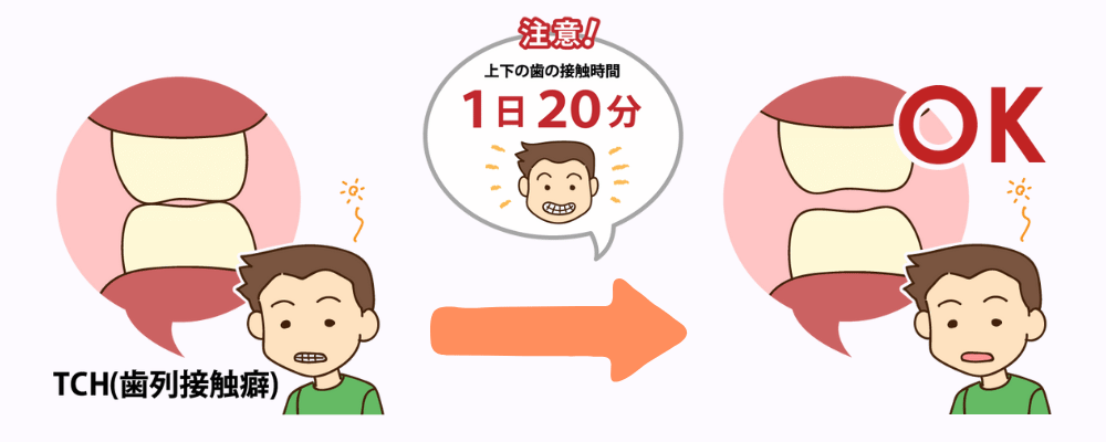 提供:歯科素材.com 様